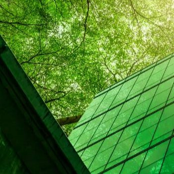 Green image of a building and trees with leaves.